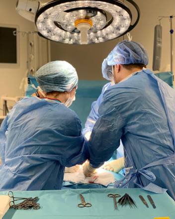 Artery clamps, scissors and a scalpel laid out in order on the sterile drape in the foreground while two surgeons work beyond them.