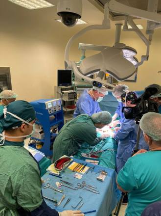 The scrub nurse’s instrument table stocked with clamps and forceps beside the operating table during an implant procedure.