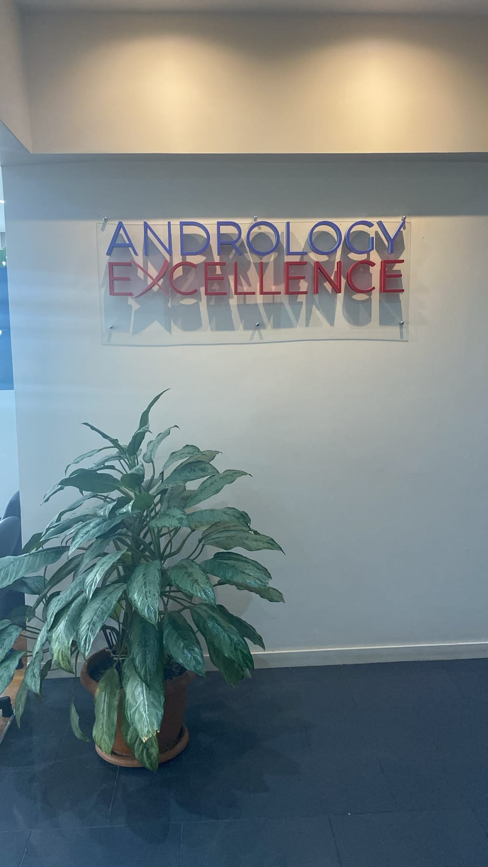 The Andrology Excellence sign on the wall of the Santa Urology reception hall, above a large potted plant.