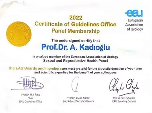 2022 Certificate of Guidelines Office Panel Membership from the European Association of Urology, certifying Prof. Dr. A. Kadıoğlu as a member of the Sexual and Reproductive Health Panel.